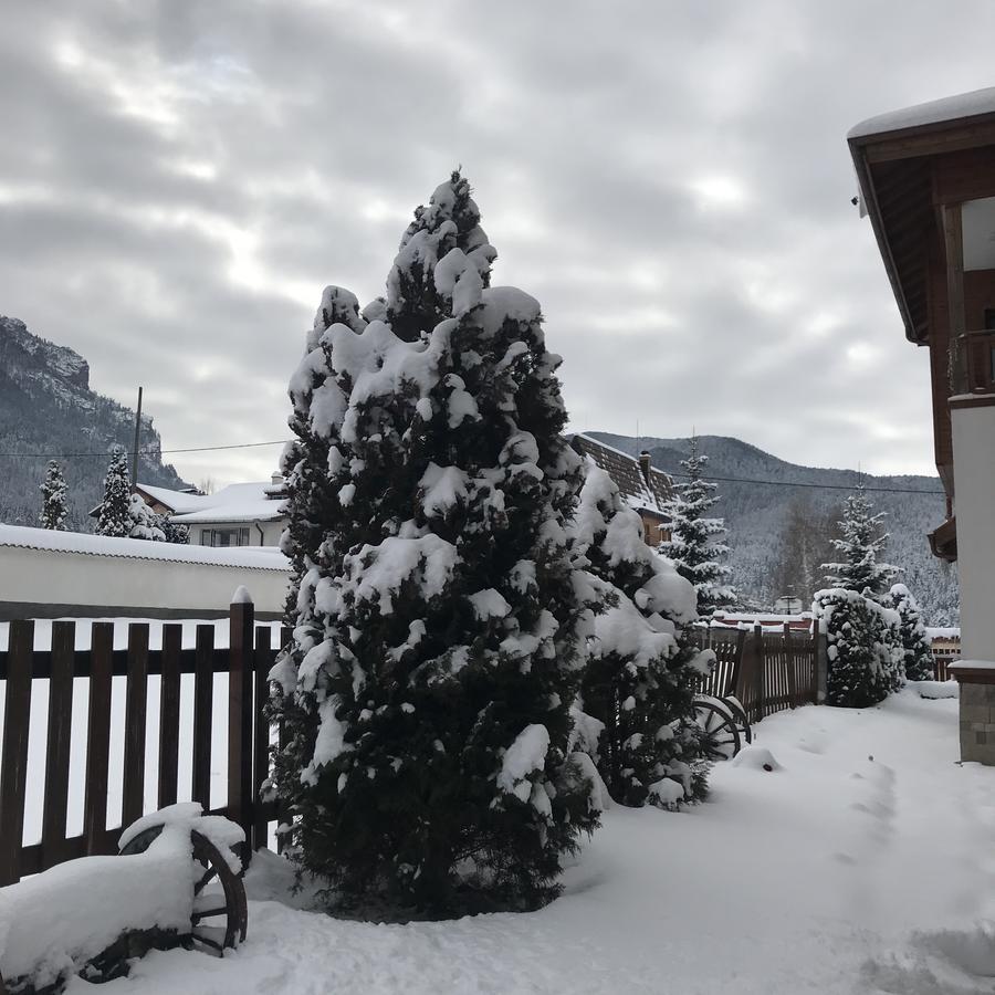 Boutique Hotel The White Pine 萨莫科夫 外观 照片