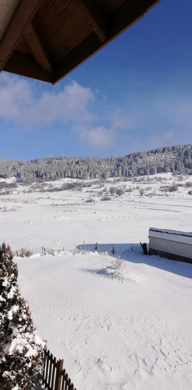 Boutique Hotel The White Pine 萨莫科夫 外观 照片
