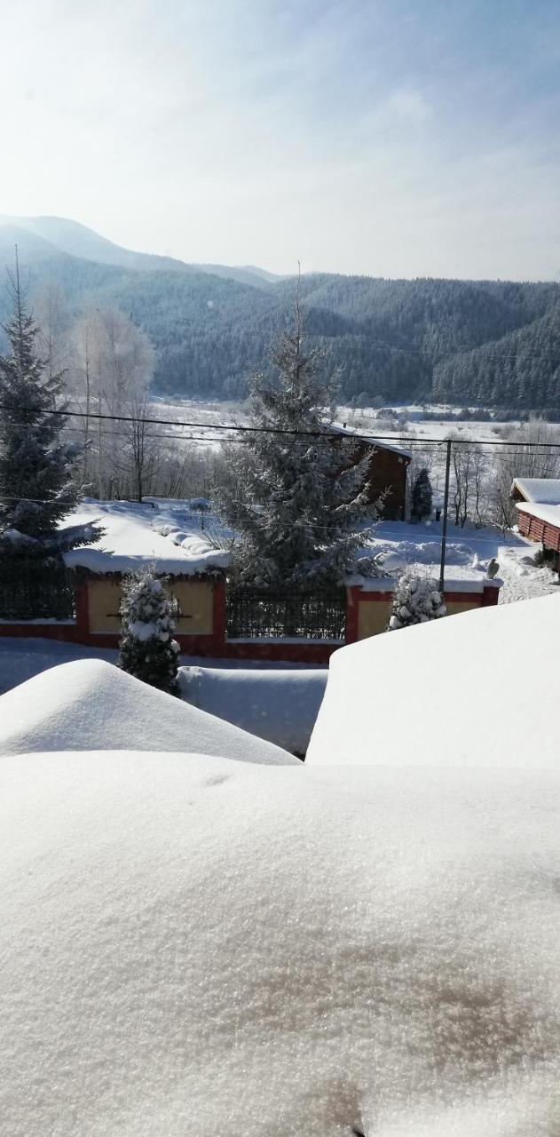 Boutique Hotel The White Pine 萨莫科夫 外观 照片