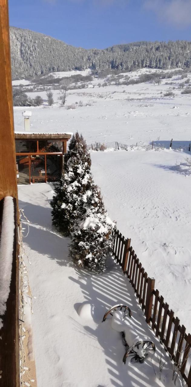 Boutique Hotel The White Pine 萨莫科夫 外观 照片